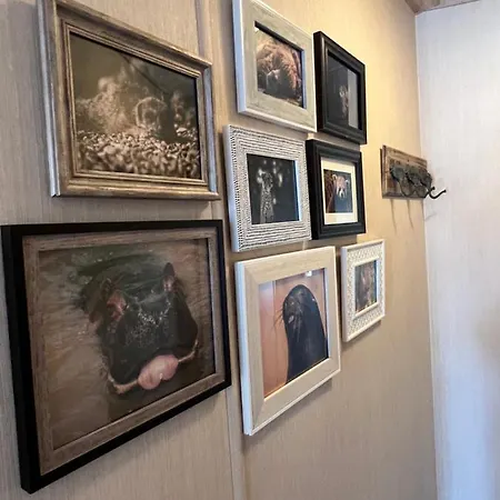 Flossy's @ Flamingo Land *