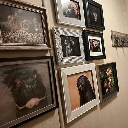 Flossy's @ Flamingo Land Kamp alanı *