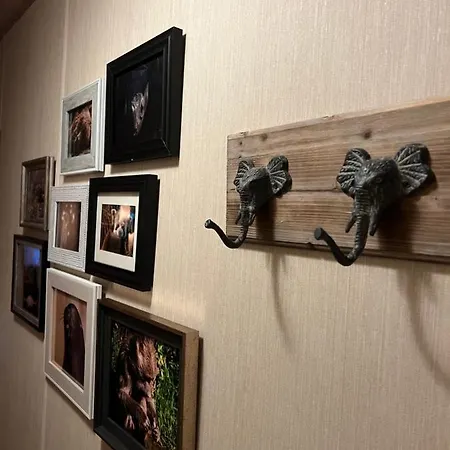 Flossy's @ Flamingo Land Kamp alanı